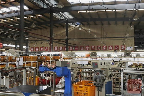 再造一个新川环 大竹川环科技扩能建新厂，科技中介服务赋能产业升级