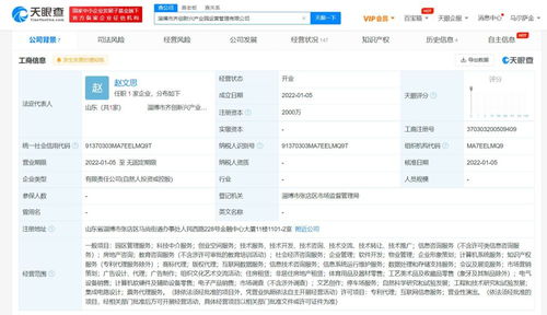 科技中介服务 连接创新与市场的桥梁