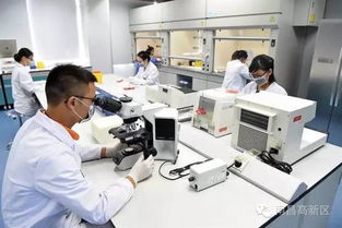 拼出新高度 十四项大举措全面赋能高新区科技创新与科技中介服务升级